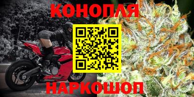 spice Краснодар