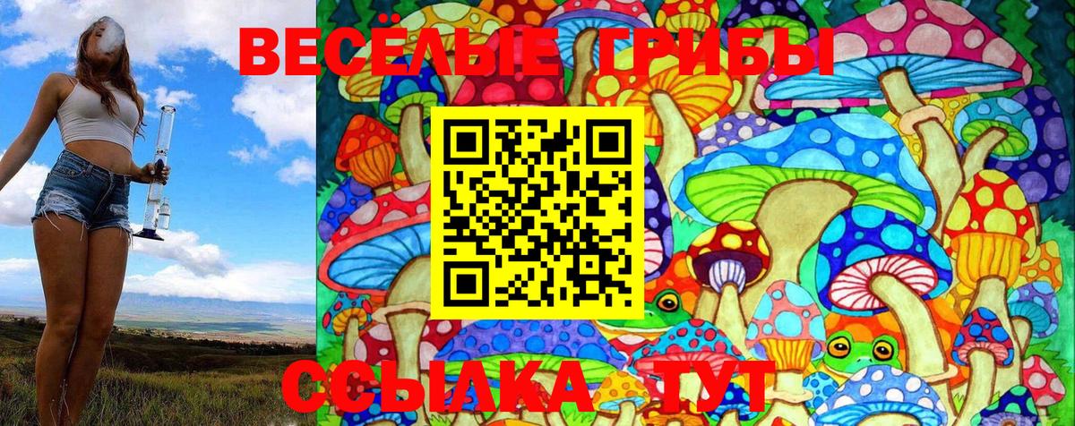 Псилоцибиновые грибы MAGIC MUSHROOMS Ефремов