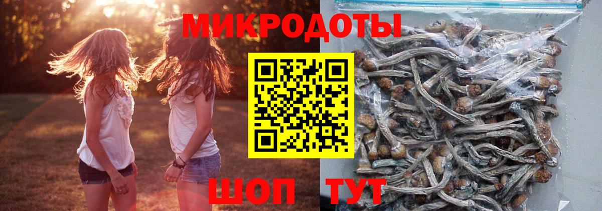 Псилоцибиновые грибы GOLDEN TEACHER  Вход с VPN  Ефремов 